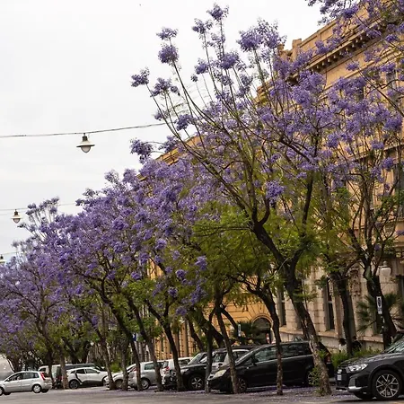 Domomea - Donna Memela Apartamento Cagliari