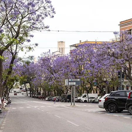 Domomea - Donna Memela Cagliari